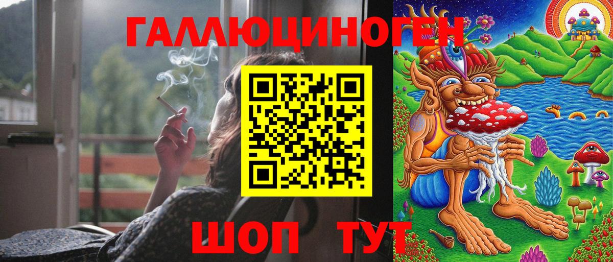 Галлюциногенные грибы Psilocybe Будённовск