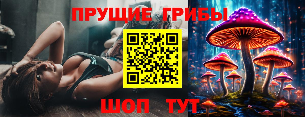 Галлюциногенные грибы Cubensis  Вход с VPN  Будённовск  Псилоцибиновые грибы ЛСД 